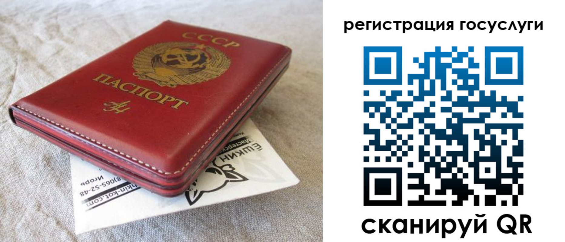 регистрация для школы в Мурманской области