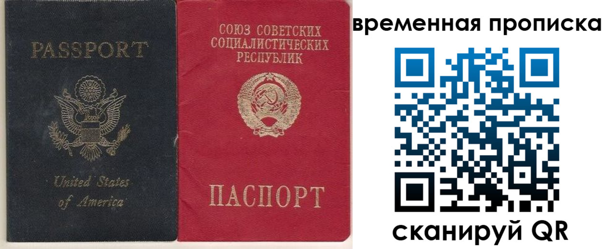 прописка для школы в Мурманской области